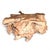 1980s Natural Teak Root Coffee Table, 1980s For Sale - Image 5 of 6