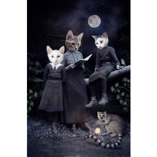 Moonlight's Tale by Marcin and Kate Owczarek | Digital Art of anthropomorphized cats in a moonlit scene For Sale