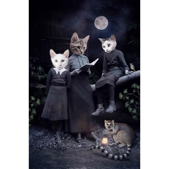 Moonlight's Tale by Marcin and Kate Owczarek | Digital Art of anthropomorphized cats in a moonlit scene For Sale