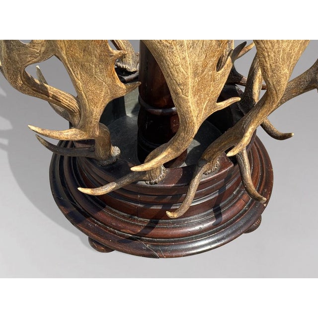 Antique Antler Coat Stand by J. Parker of Woodstock, 1850 For Sale - Image 8 of 12