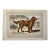 1907 French Photogravure Print Of” l'Epagneul Allemand” or a German Spaniel For Sale