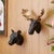 Make a bold statement with this Geometric Bear and Moose Wall Mount Set, a striking blend of modern design and rustic...