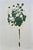 Wood Set of 4 - One-of-a-Kind Dark Green Botanical Organic Modern Original Oil Paintings / Herbarium / Floral For Sale - Image 7 of 9