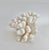 Natural Pacific Elk Coral Coastal Home Decor For Sale In Los Angeles - Image 6 of 8