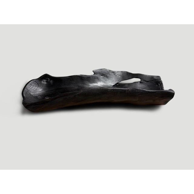 Andrianna Shamaris Sculptural Charred Teak Wood Vessel For Sale - Image 16 of 18