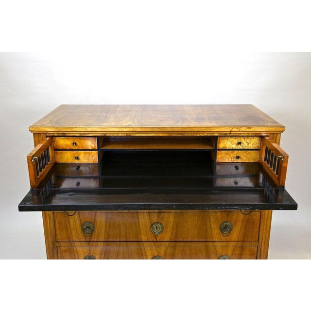 Antique Biedermeier Chest of Drawers, Austria, 1830 For Sale - Image 4 of 18