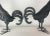Pair of Vintage Wrought Iron Roosters For Sale - Image 9 of 12