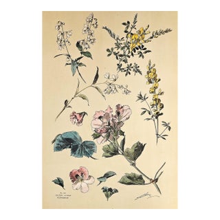 1880s Large Rare French Antique Hand-Colored Botancial Chromolithogrpah by Henri Lambert--Deutzia, Geranium For Sale