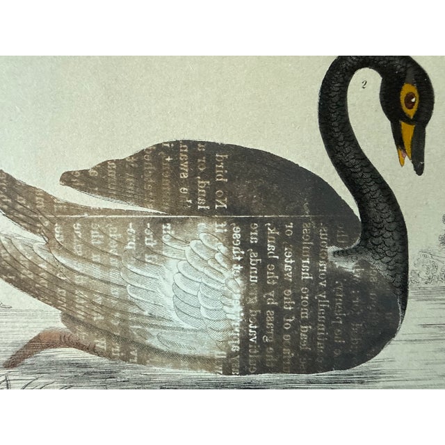 Mid 19th Century Framed Antique Print From Oliver Goldsmith's "A History of the Earth and Animated Nature" For Sale - Image 5 of 9