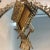 Late 19th Century Late 19th Century Anton Boehm Brass Frame en Wien For Sale - Image 5 of 8