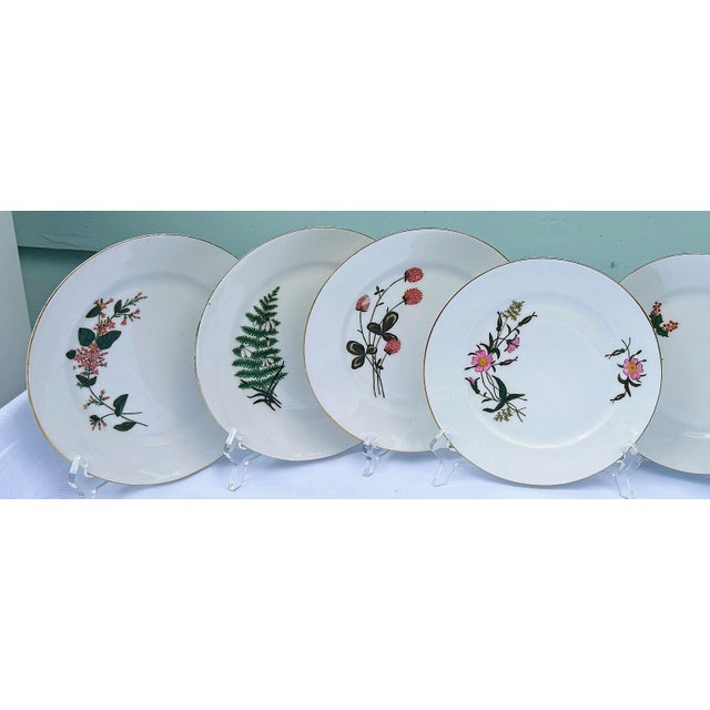 Late 19th Century Limoges Cabinet Plate Collection - Set of 8 For Sale - Image 9 of 16