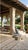 Vintage-Style Cast Iron Pointer Garden Sculpture Dog For Sale - Image 10 of 12