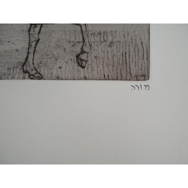 Mordecai Moreh, The Donkey and the Acrobat, 1968, Original Signed Copper Engraving For Sale - Image 4 of 6