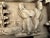 Chinese Antique Small Wood Panel With Figural Carvings For Sale - Image 9 of 18