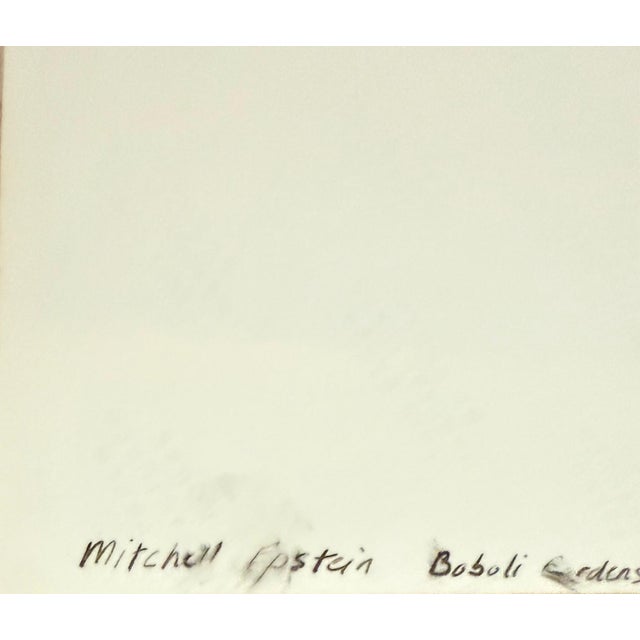 Mitch Epstein, Mitchell Epstein Signed Vintage Color Photograph C Print Photo Florence Italy, 1977 For Sale In Miami - Image 6 of 12
