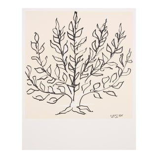 "Le Buisson" Reproduction Henri Matisse Lithograph For Sale