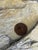 Beige Antique 19th Century French Architectural Fragment For Sale - Image 8 of 13