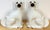 Large Pair Victorian Staffordshire Spaniel Dogs with Amber Glass Eyes, 1860s For Sale In West Palm - Image 6 of 14