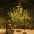 Contemporary Zafferano Poldina XXL Indoor/Outdoor Cordless Floor Lamp, Rust For Sale - Image 3 of 5
