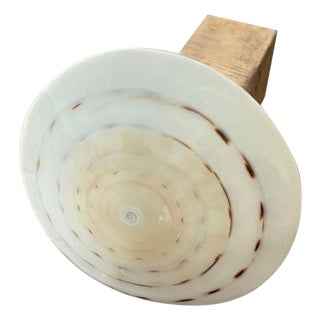 Andrianna Shamaris Shell and Teak Wood Door Knob For Sale