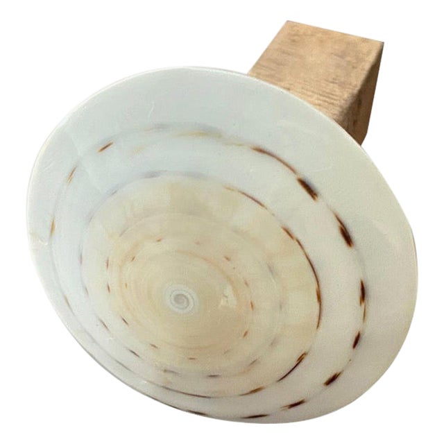 Andrianna Shamaris Shell and Teak Wood Door Knob For Sale