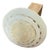 Andrianna Shamaris Shell and Teak Wood Door Knob For Sale