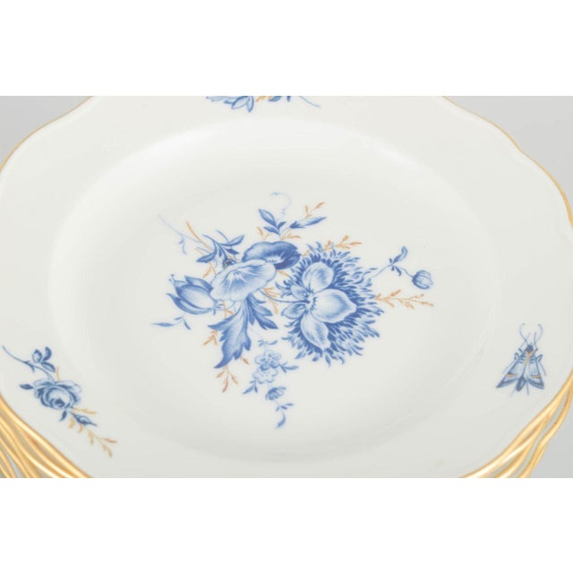 Porcelain Plates with Blue Floral Motifs and Gilt Rim from Meissen, Set of 12 For Sale - Image 3 of 5