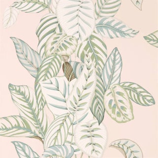 Sanderson Calathea Wallpaper in Orchid/Eucalyptus For Sale