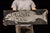 Vintage Double-Sided Hand-Painted Wooden Fish Monger Sign For Sale In Chicago - Image 6 of 10