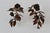 Late 20th Century Hans Kögl Style Gilded Flowers Stems Leaves Wall Mount Candle Holders Sconces - a Pair For Sale - Image 17 of 18