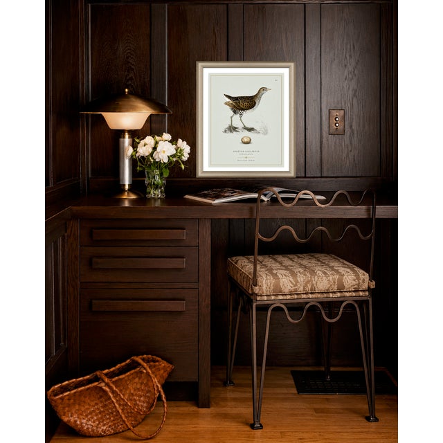 Paper William Lewin 1789 Waterbirds Fine Art Gallery Board Print - The Spotted Gallinule For Sale - Image 7 of 15