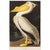 1990s American White Pelican After Audubon, Large American Classical Print For Sale - Image 10 of 11