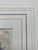 Blue 19th.century Robert Sweet Botanical Print With Flower Description Page Attached to Back. It Is an Hand Colored Engraving. For Sale - Image 8 of 9