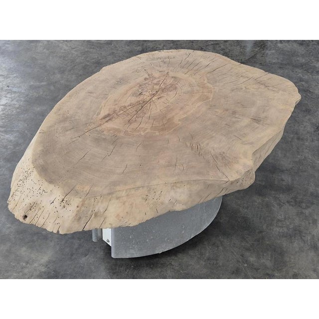 Coffee Table with Raw Wood Slice Top on Metal Base, in Very Good conditions.