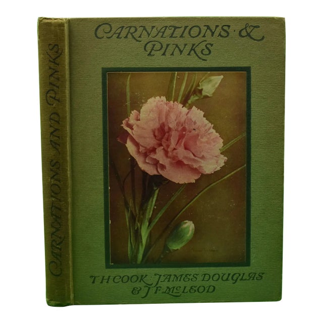 "Carnations & Pinks" 1919 Cook, t.h., Douglas, James, McLeod, j.f. For Sale