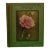 "Carnations & Pinks" 1919 Cook, t.h., Douglas, James, McLeod, j.f. For Sale