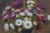 Late 20th Century Late 20th Century Asters and Fruit on a Table Oil Painting on Canvas After Henri Fantin Latour 31" For Sale - Image 5 of 10