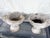 Vintage Cast Stone Nautilus Shell Planters- A Pair For Sale - Image 10 of 12