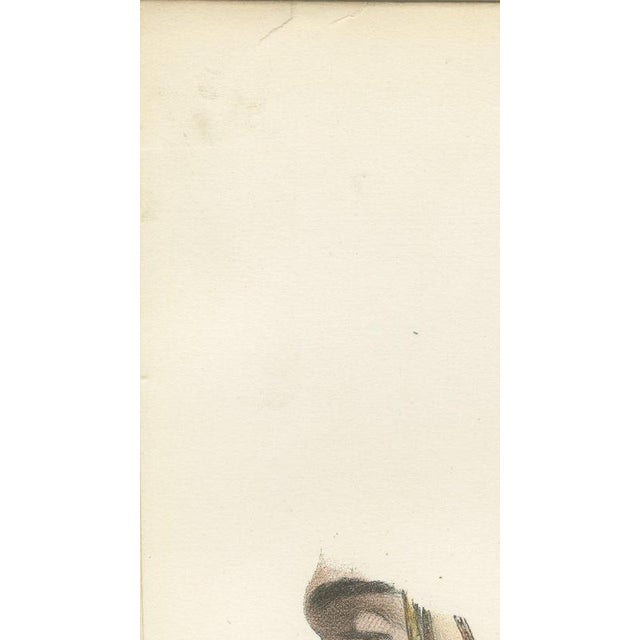 Hirschfeld and Leveille, Vagus and Sympathetic Nerves of the Trunk, 1866, Paper For Sale - Image 6 of 12