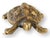 A charming antique brass turtle paperweight, marked England. This solid brass piece features detailed texturing on its...