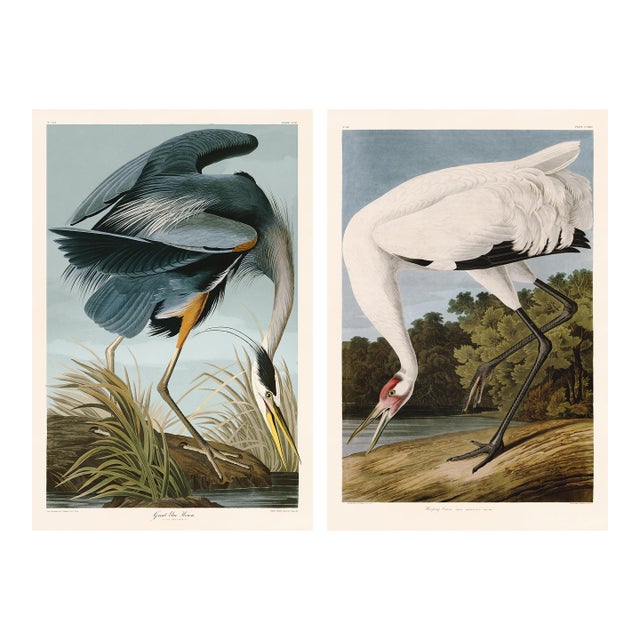 Great Blue Heron and Hooping Crane by Audubon Pair For Sale