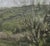 Contemporary Near Galway by Jim Beckner | Oil on Canvas Landscape with trees and rolling hills For Sale - Image 3 of 5