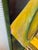 Josh Podoll Abstract Brazilian Flag Original Painting, Signed For Sale In San Francisco - Image 6 of 12