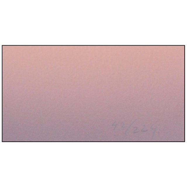 1990s Wild Flowers Figurative Pink. Lithograph R. C. Gorman For Sale In Minneapolis - Image 6 of 7
