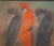 Textile 1980s Victoria Mortesinos Large Oil Painting - Signed For Sale - Image 7 of 15