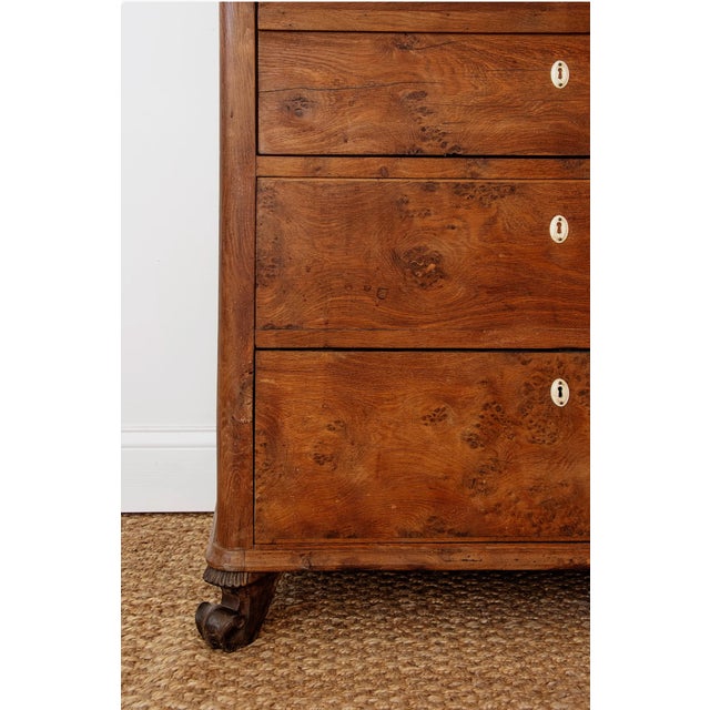 Early 19th Century Antique Biedermeier Burl Walnut Single Armoire | Austria C. 1830s For Sale - Image 5 of 5