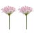 Rustic Agapanthus Flower Stem (Set of 2) For Sale - Image 3 of 3
