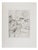 Mily Possoz, Sleeping Cat, Original Signed Engraving For Sale