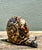 Vintage Coconut Shell Snail For Sale - Image 10 of 12