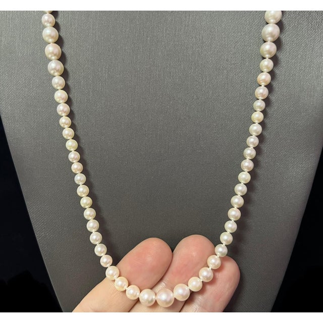 White Akoya Pearl Necklace 28.5" 14k Gold 8.50 mm Certified For Sale - Image 8 of 12